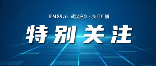 知識產權保護納入全市營商環境評價體系 武漢建設全國一流知識產權強市