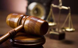 專注魚知識產權運用與保護專題分享會圓滿成功